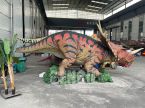 Styracosaurus