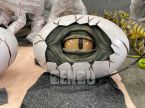Dinosaur eye