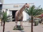 Shunosaurus