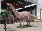 Shunosaurus