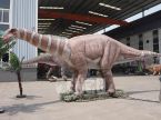 Shunosaurus