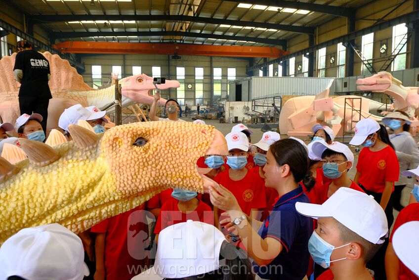 Dinosaur Study Tour in Gengu Dinosaurs