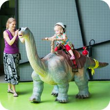 Dinosaur Rides and Amusement Rides