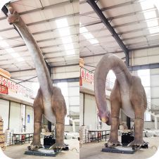 High-end Animated Products