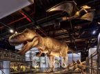 T-Rex(AD-294)
