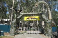 Dinosaur World Project
