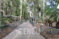 Dinosaur World Project