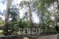 Dinosaur World Project