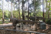 Dinosaur World Project