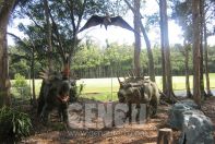 Dinosaur World Project