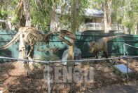 Dinosaur World Project