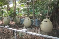 Dinosaur World Project