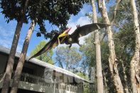 Dinosaur World Project