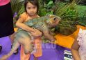 IAAPA Expo Asia
