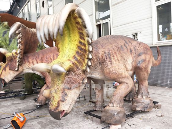 Kosmoceratops Male