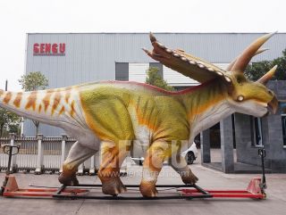 Triceratops