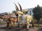 Triceratops