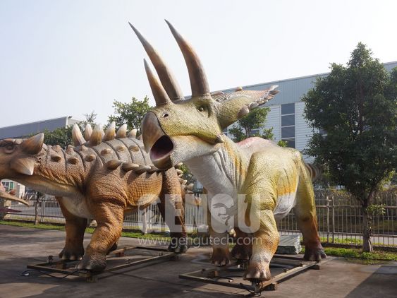 Triceratops