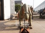 Shunosaurus