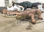 crocodile