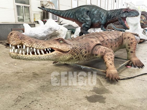 crocodile