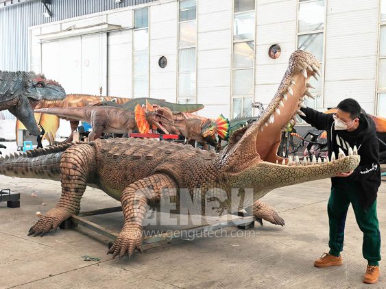 crocodile
