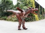 Dragon Costume