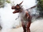 Dragon Costume