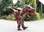 Dragon Costume