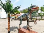 Velociraptor