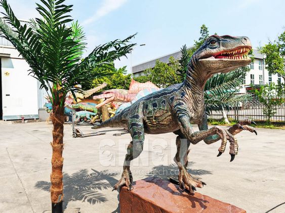Velociraptor