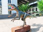 Velociraptor