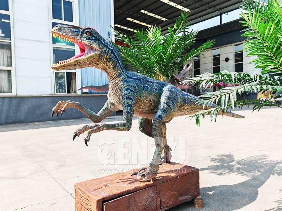 Velociraptor