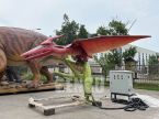 Pterosaur
