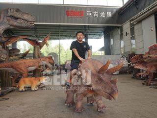 Walking Triceratops Ride