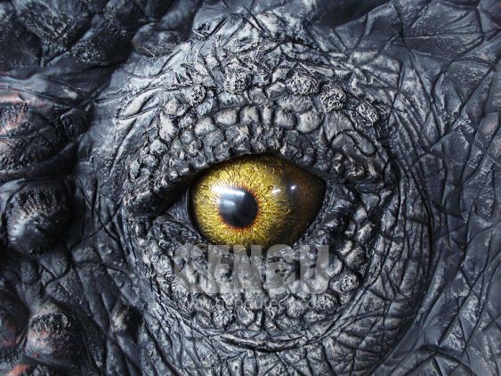 Allosaurus Head