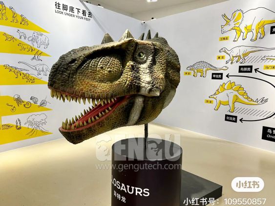 Allosaurus Head
