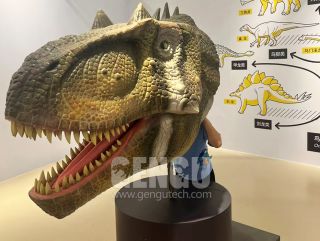 Allosaurus Head