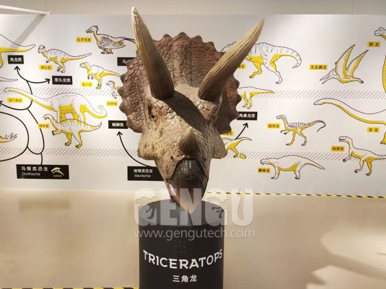 Triceratops Head