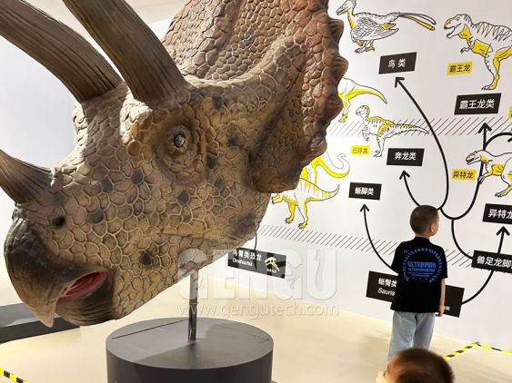 Triceratops Head