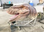 T-rex Head
