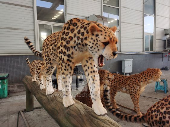 Leopard