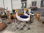 Gruidae