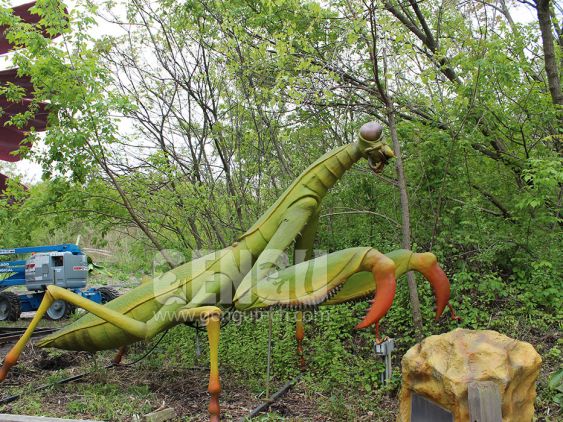 Mantis