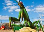 Mantis