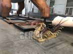 Centipede