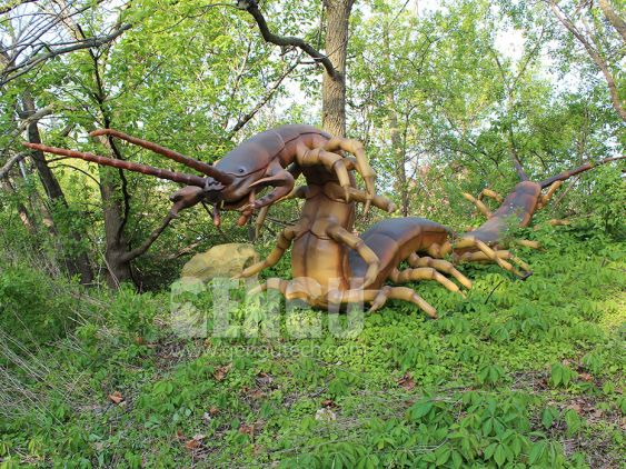 Centipede