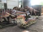 Centipede