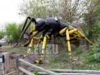 Bumblebee