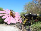 Bee And Flower